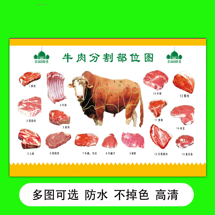 墙贴装饰画肉类猪肉牛肉羊肉分割图店铺摊铺宣传海报背胶贴纸贴画
