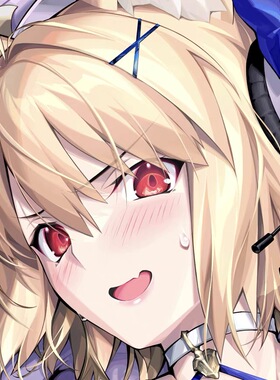 C106 光崎新作 FGOfate月姬 爱尔奎特 二次元等身抱枕套