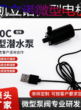 水陆两用卧式潜水泵DC2W喷泉 USB立式迷你微型3-5V