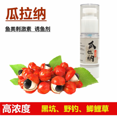 高浓缩千里香花香果香瓜拉纳高温