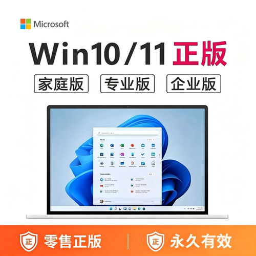 正版Win11/Win10专业版系统