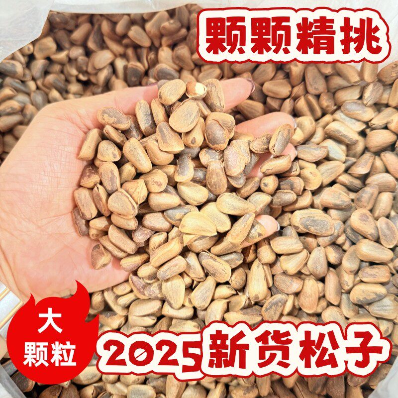 东北特产大颗粒松子东北特产