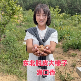 2025新鲜榛子东北榛子水仁大榛子东北特产绿皮榛子脱皮大颗粒新货