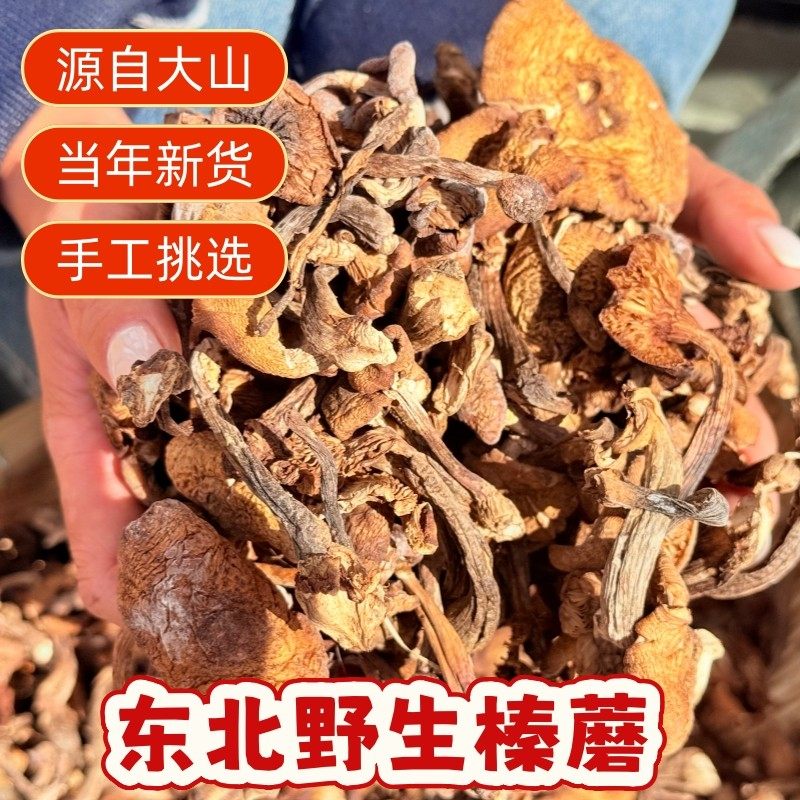 东北野生榛蘑干货500g