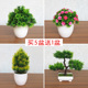 小清新仿真绿植物盆栽塑料假花摆设家居客厅电视柜茶几装 饰品摆件