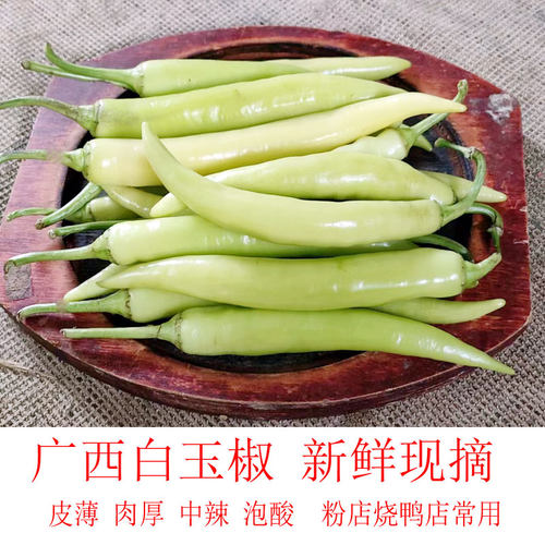 广西新鲜白玉椒老坛酸菜白辣椒