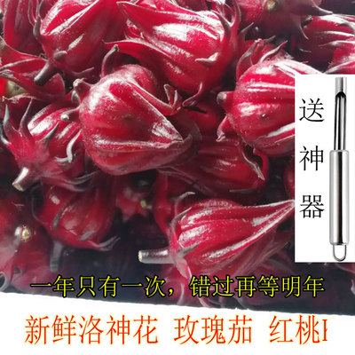 洛神花玫瑰茄泡酒泡茶做果酱