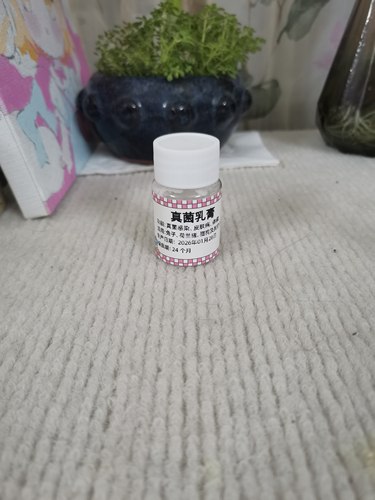 荷兰猪兔子真菌药皮肤体癣真菌感染专用乳膏兔子荷兰猪预防球虫药