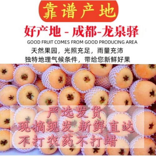 [顺丰包邮]四川龙泉大五星枇杷龙泉驿枇杷5斤新鲜水果软糯香甜