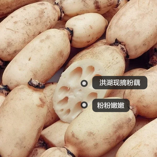 湖北荆州特产现摘莲藕炖汤
