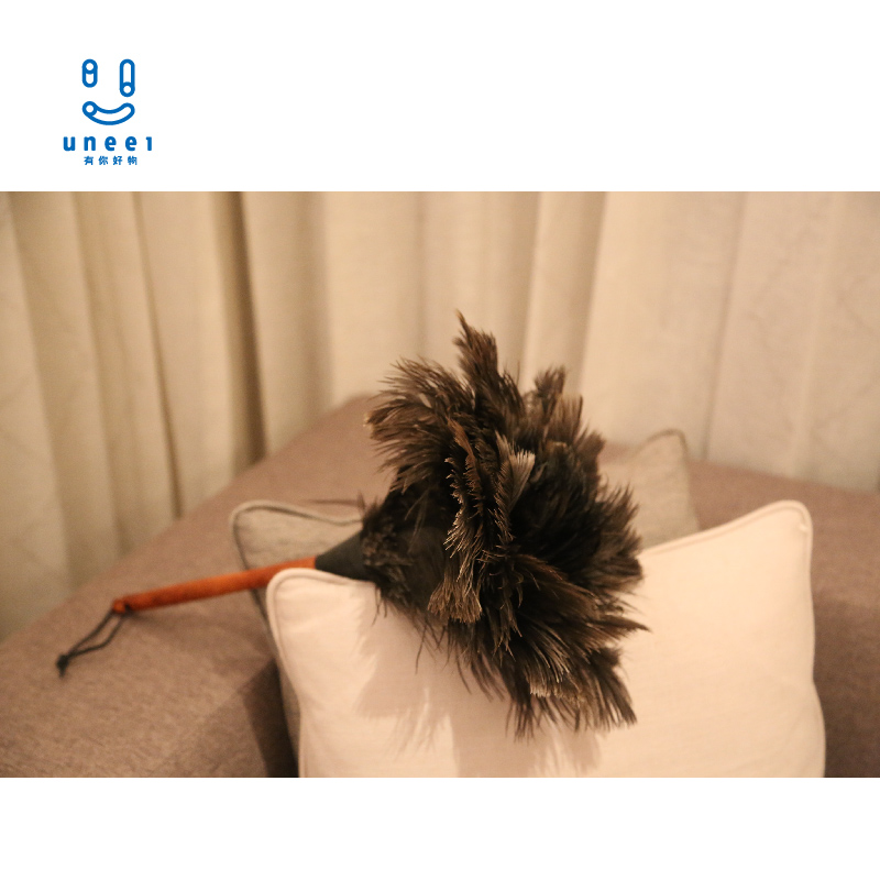 鸵鸟毛redecker除尘刷高颜值