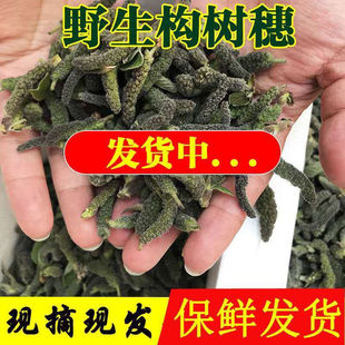 焯水冷冻构树穗 楮桃穗 构树花 野菜构树穗 野生深山构树穗 包邮