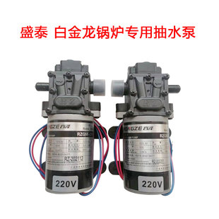 盛泰节能锅炉专用水泵220V左右进抽水泵白金龙蒸汽锅炉配件