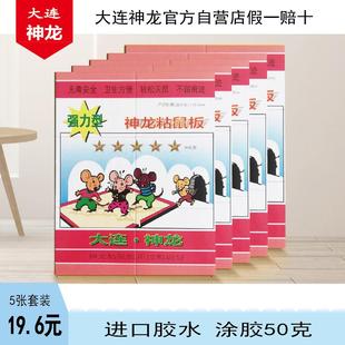 包邮 5张大连神龙五星强力粘鼠板贴夹灭老鼠捕鼠神器酒店家用克星