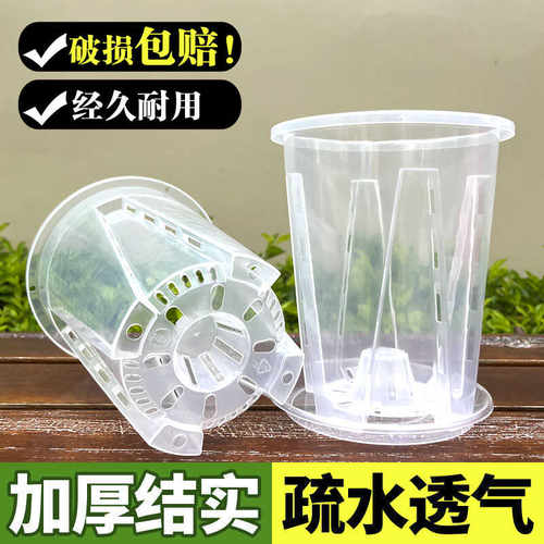 透明青山控根盆兰花水苔蝴蝶兰专用花盆塑料透气镂空大号花盆家用
