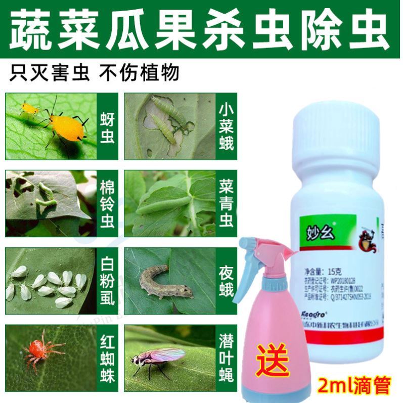 蔬菜杀虫剂家用菜虫农药杀菜虫药打青虫青菜杀虫药跳甲蚜虫专用药