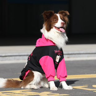狗狗衣服大型犬秋冬边牧防掉毛纯棉卫衣金毛拉布拉多加绒保暖衣服