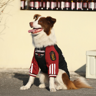 狗狗新年衣服秋冬大型犬保暖金毛拉布拉多护肘衣边牧加厚冬装衣服