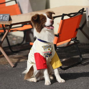 狗狗衣服大型犬夏季撞色金毛拉布拉多衣服边牧巨贵薄款大狗衣服夏