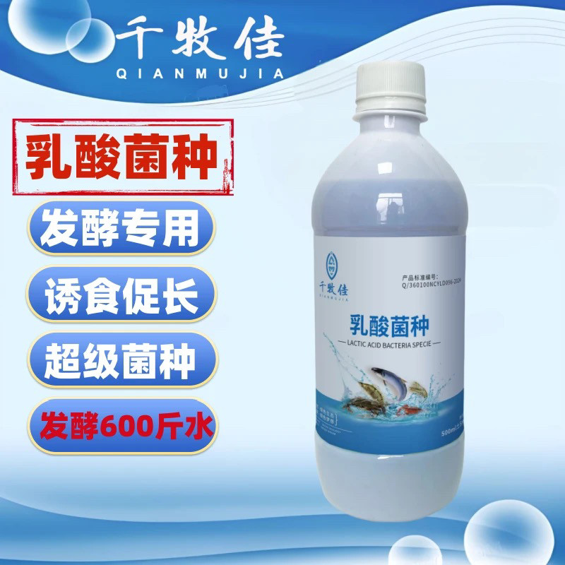 1箱20瓶 千牧佳乳酸菌种发酵专用菌种水产养殖鱼虾蟹扩培600斤水