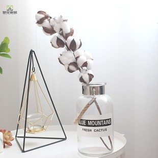 网红花束 ins木棉花干花花束家居大束天然真花含花瓶装饰室内客厅