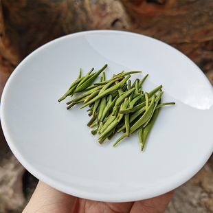 【金顺 明前翠竹芽】2025新茶雅安蒙顶石花茶叶100g散装绿茶雀舌