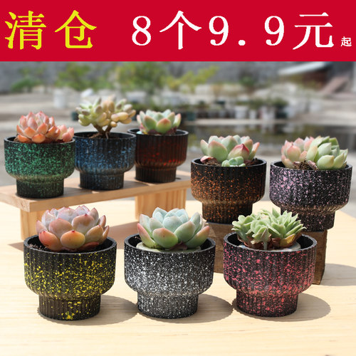 粗陶透气多肉花盆清仓