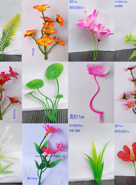 小花冷菜点缀洋兰意境风摆盘装饰