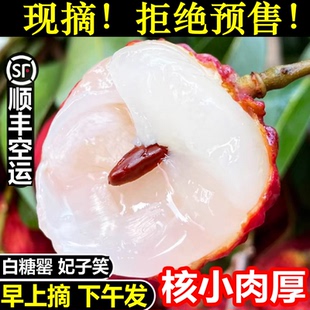 【顺丰空运】新鲜现摘海南妃子笑荔枝当季新鲜白糖桂罂糯米味糍