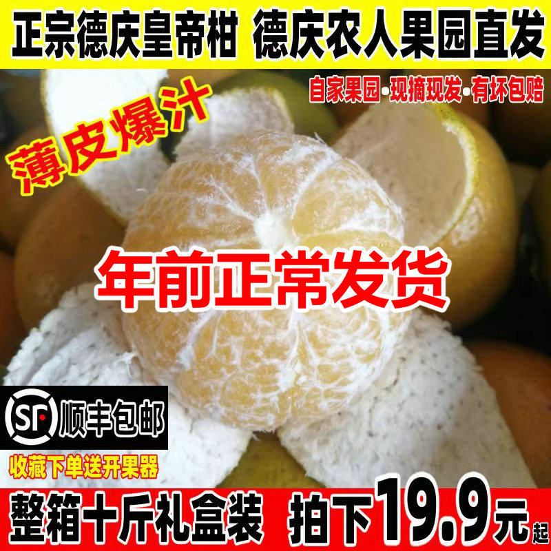 速发德庆皇帝柑广东当季新鲜水果砂糖纯甜橘桔丑子十斤装顺丰包邮