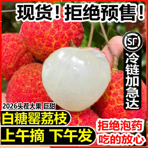 顺丰急速达广东白糖罂纯甜荔枝