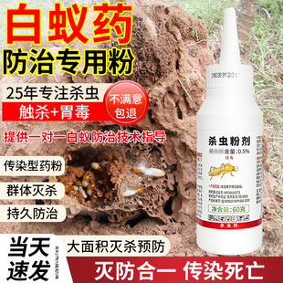 灭白蚁窝巢穴驱除白蚂蚁后杀虫粉剂专业白蚁防治专用药家用蚂蚁药