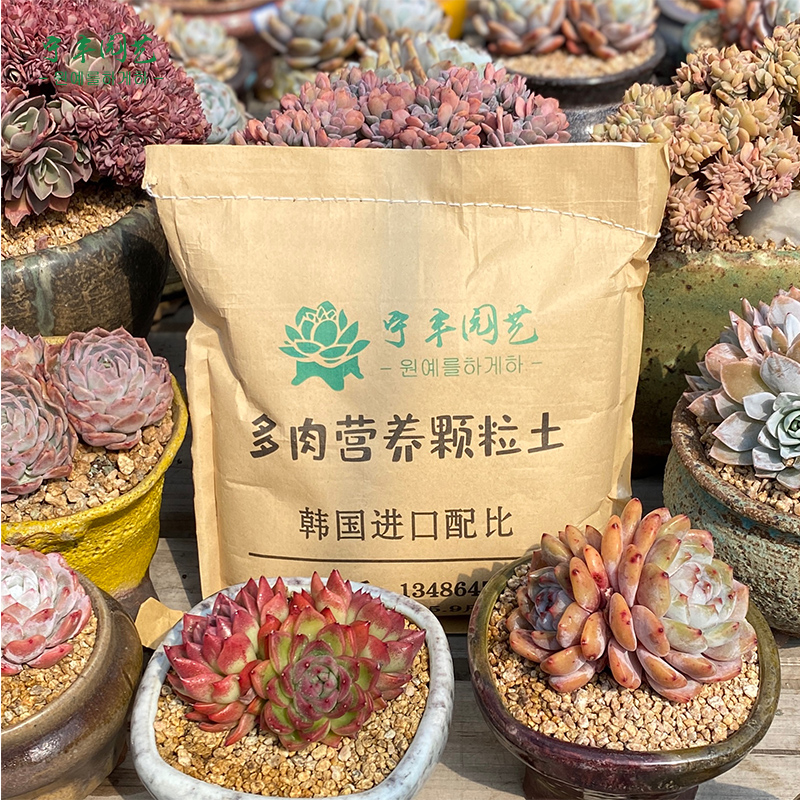 营养土通用型散装韩国配比