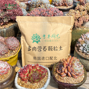 块根专用营养土全颗粒蛭石韩国进口配比欧系布纹球发根颗粒种植土