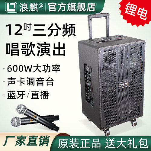 浪麒6100/6120户外三分频音响