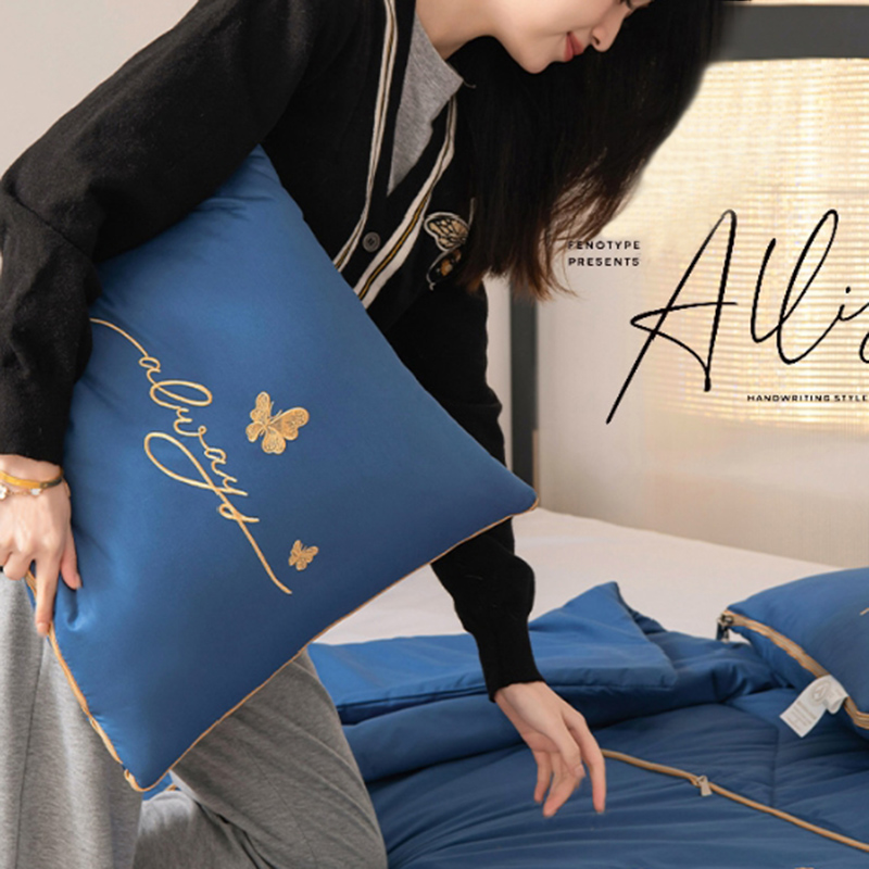 全棉抱枕被子两用车载盖被学生午休被纯色蝴蝶柔软透气多功能靠枕