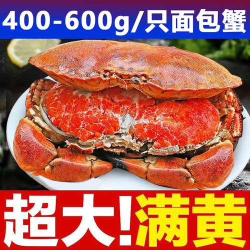 面包蟹熟冻特大超大珍宝蟹