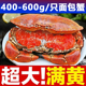 面包蟹熟冻新鲜鲜活特大超大珍宝蟹生冻熟食梭子蟹海鲜水产大螃蟹