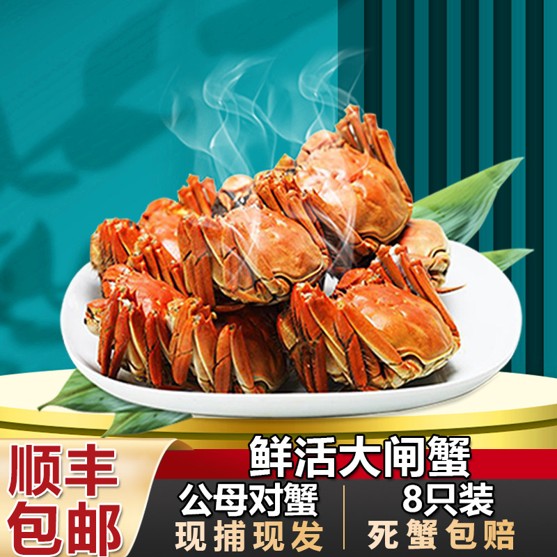 大闸蟹鲜活全母蟹礼盒装顺丰包邮