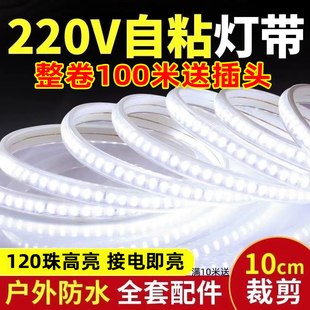 220v灯带led灯条自粘高压免驱动软贴片线条线形灯客厅防水套管伏