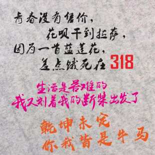 青春没有售价 花呗拉萨生活乾坤未定 激励文字装饰汽车反光车门贴