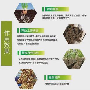 厂家供应改良林业枯草芽孢杆菌农业土壤农用地枯草芽孢杆菌