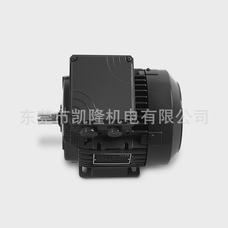 供应变频电机aeg德国am90l4