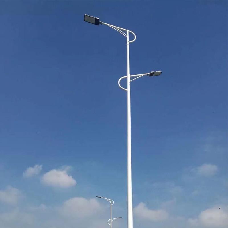 LED路灯杆子户外灯小区照明灯220V高干新农村照明LED市电路灯