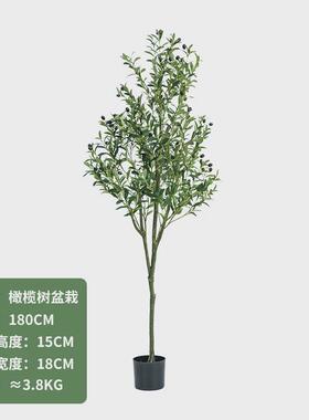 精选新款仿真造型橄榄小树北欧风家居落地植物盆栽假树室内摆件