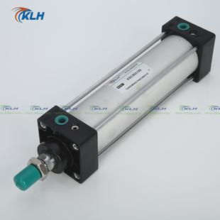 sc40x225 s带磁标准气缸