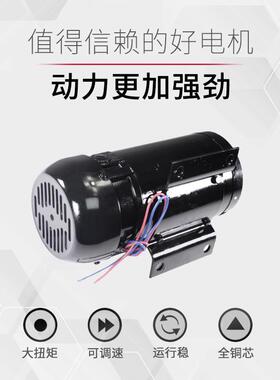芜湖德力DULY立卧式300W永磁直流电机ZYT22-22018制袋机马达220V