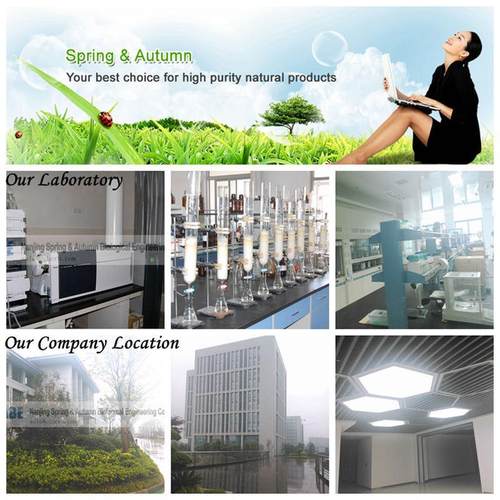 98%羽扇豆醇lupeol545-47-1羽扇豆醇现货