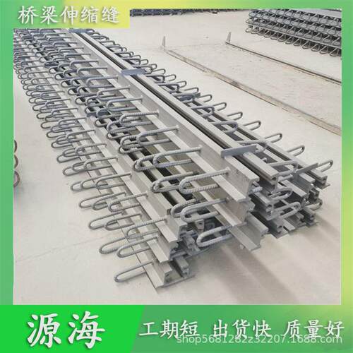桥梁公路伸缩缝c40型D型E型F型毛勒式异型钢装置厂家伸缩缝