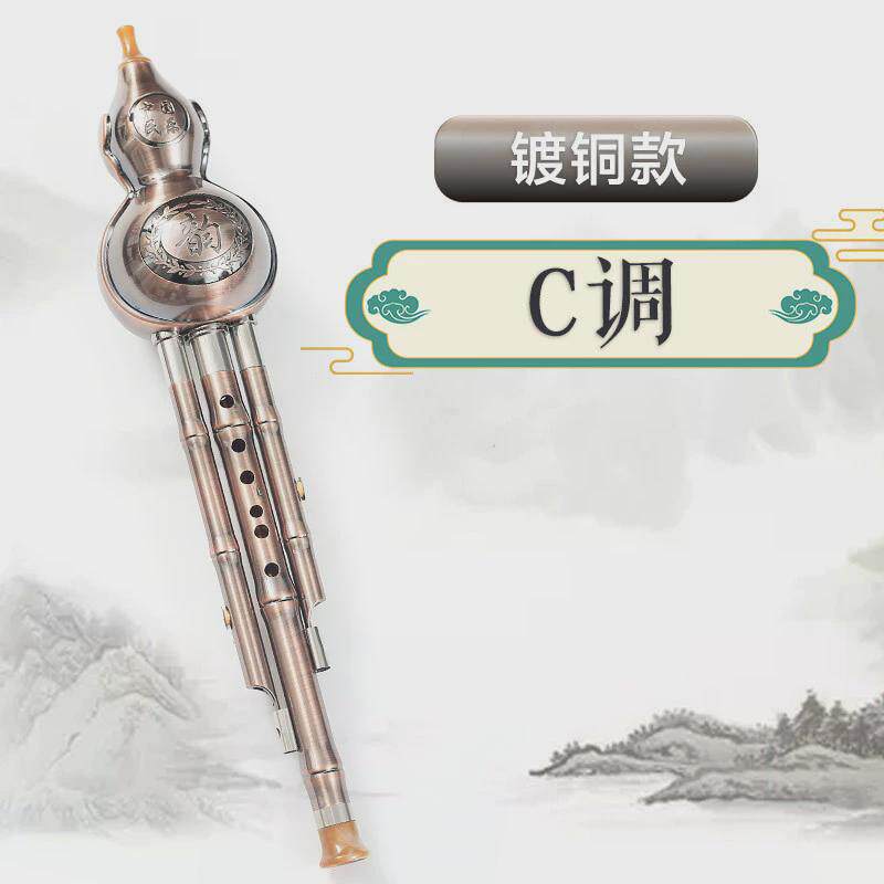 镀铜镀银葫芦丝c调降b调专业小学生初学者演奏型胡芦丝民族乐器